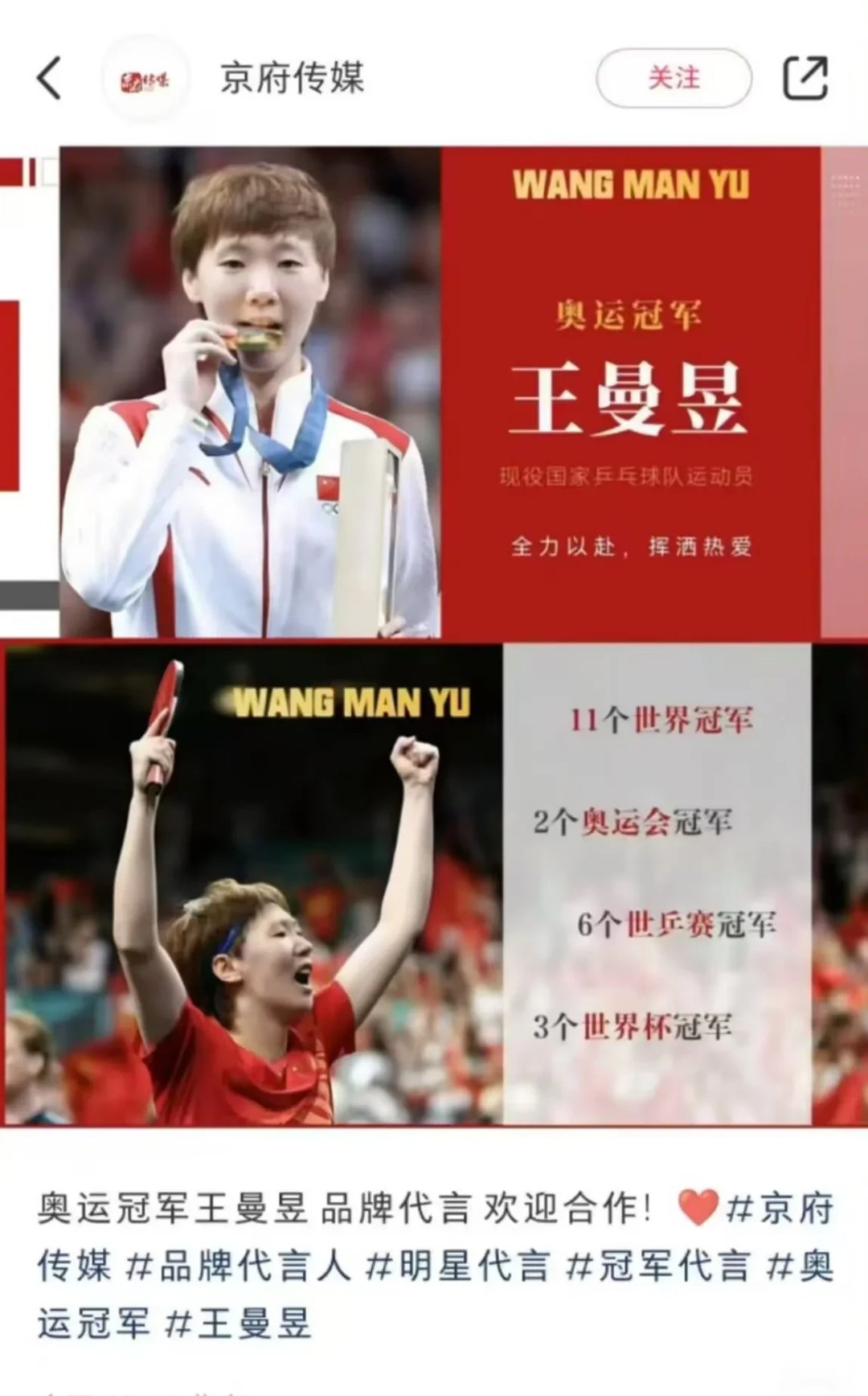 法国羽毛球队轻取韩国羽毛球队，马琳送出助攻的简单介绍