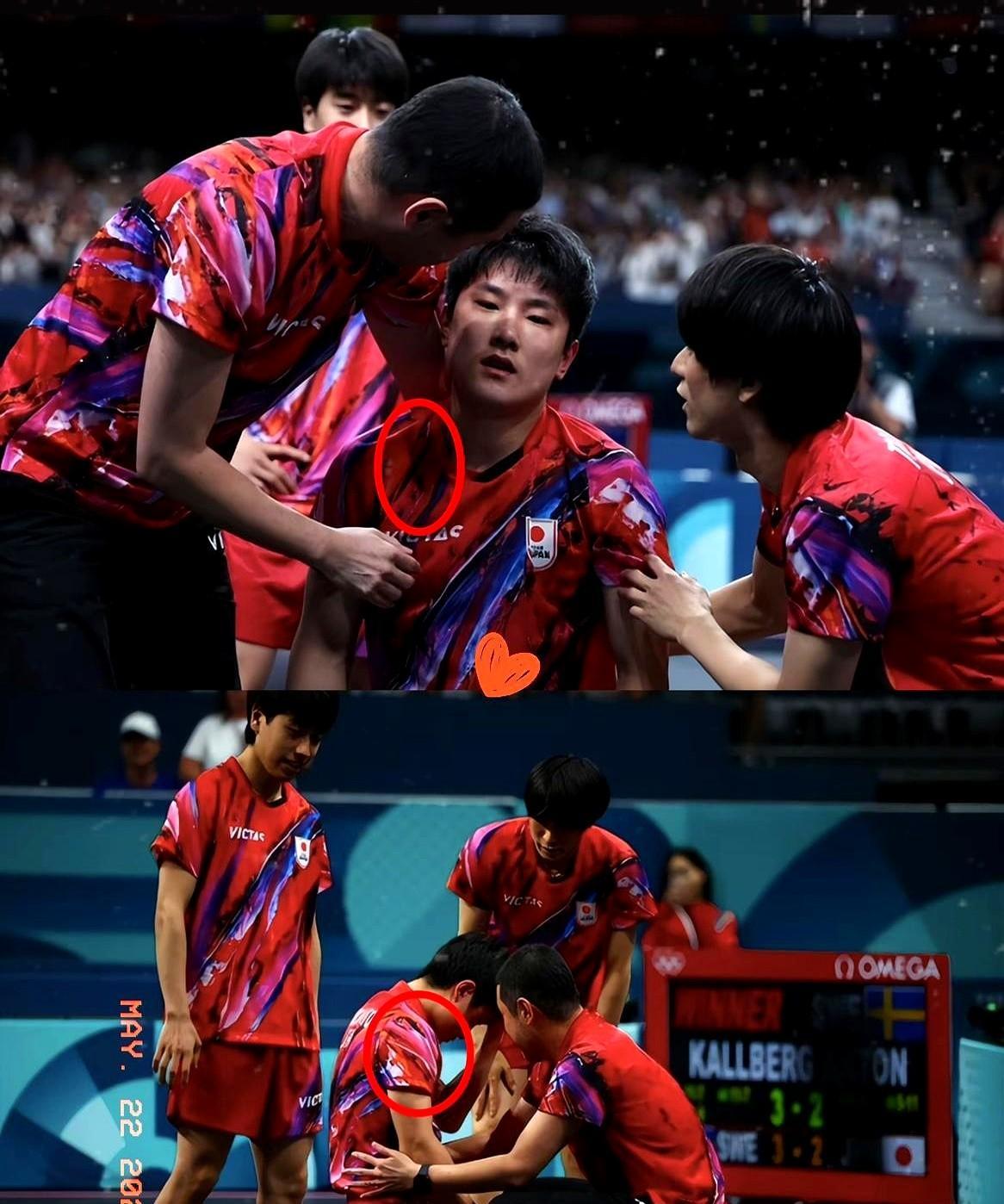 lpl官网-包含波兰乒乓球队绝杀韩国乒乓球队，张本智和高光表现的词条