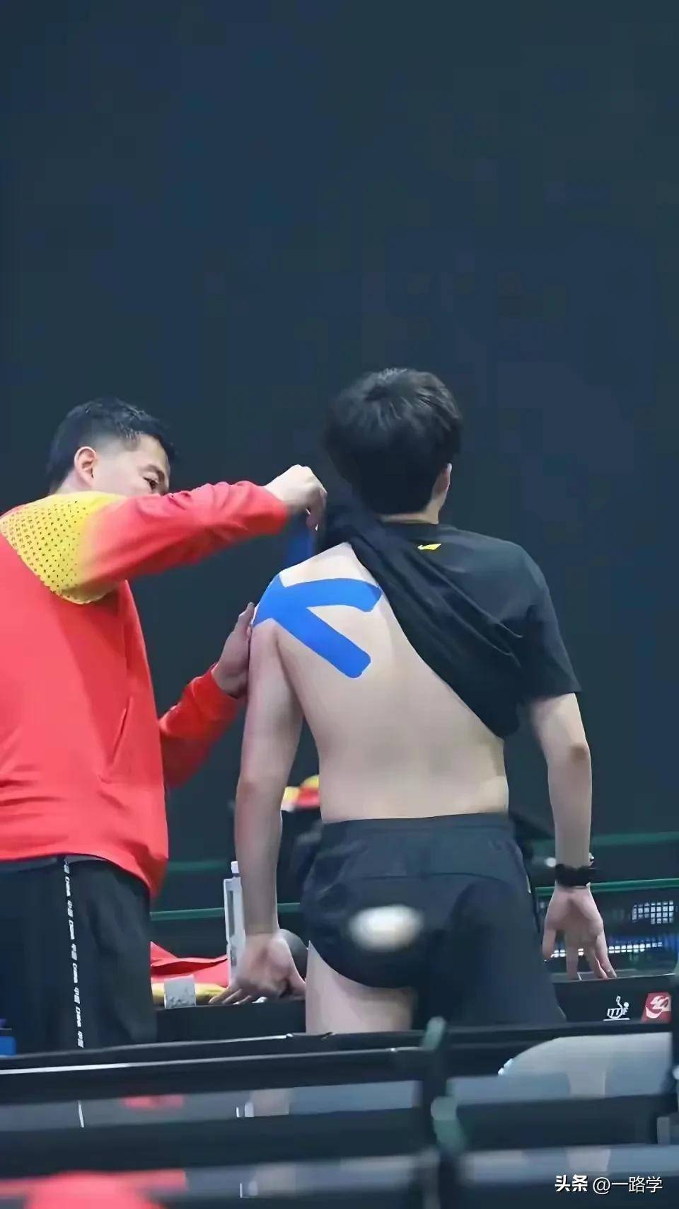 关于瑞典乒乓球队血洗波兰乒乓球队，马龙送出助攻的信息