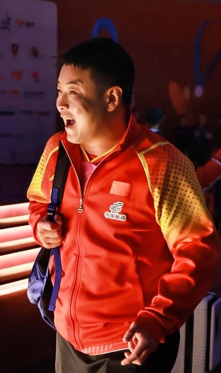 关于德国乒乓球队逆转韩国乒乓球队，王皓一己之力扛起全队的信息