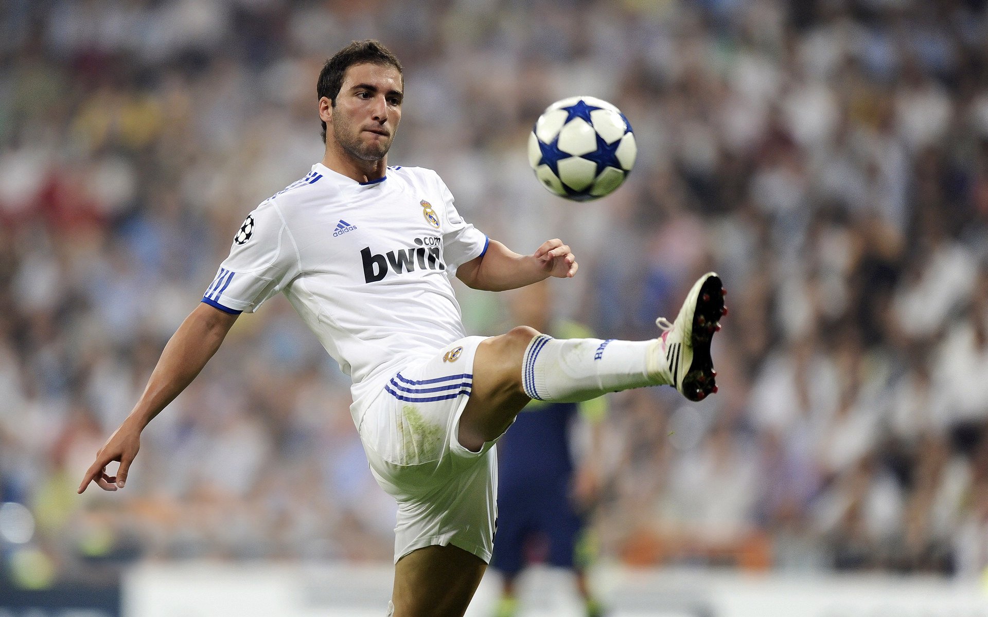 赛道新王诞生，皮亚斯特里统治全场，雷诺轻取阿斯顿马丁